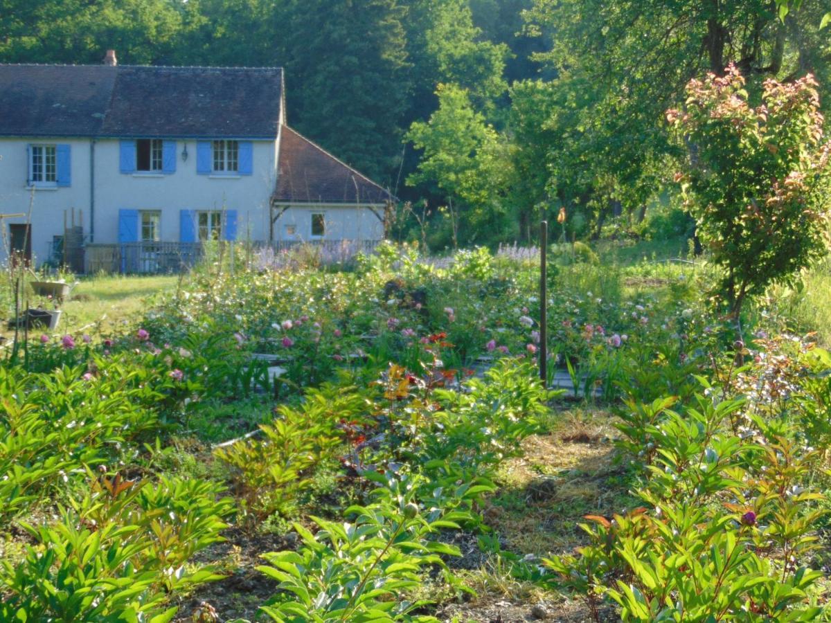 Neuillé-le-Lierre Fleurs De Brenne Gite מראה חיצוני תמונה