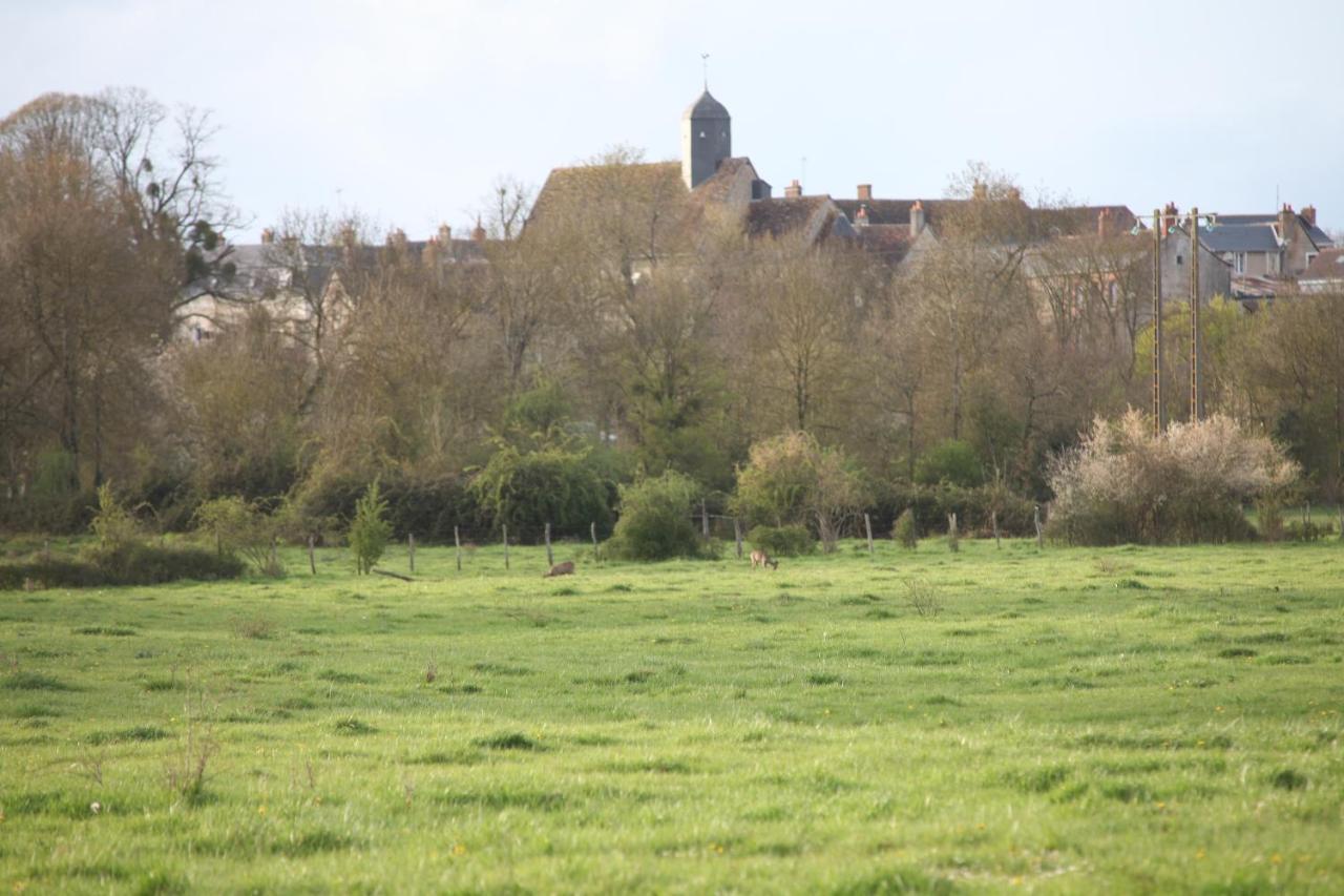Neuillé-le-Lierre Fleurs De Brenne Gite מראה חיצוני תמונה